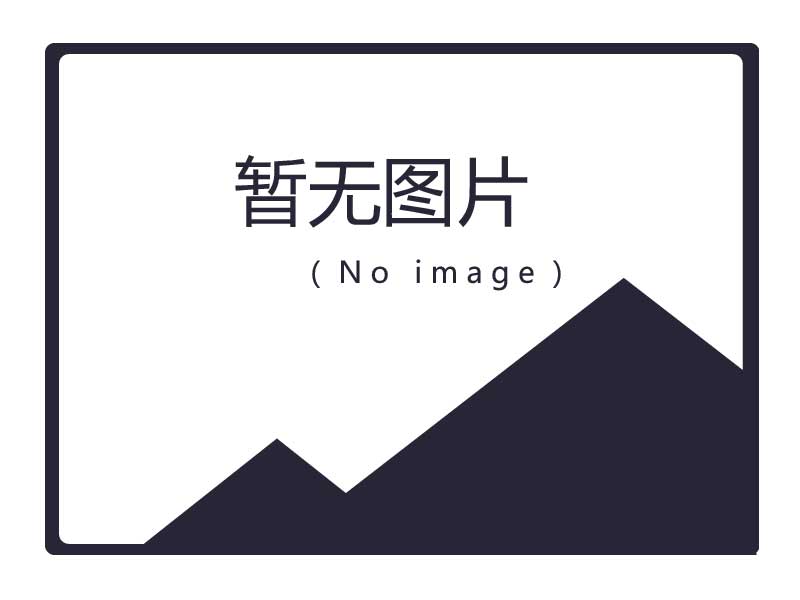 可移動抱胎式舉升機-客車商用車專用